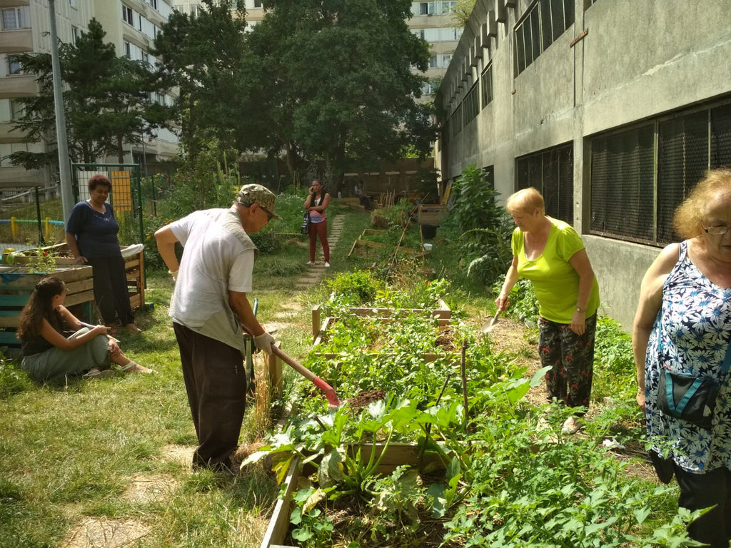 personnes âgées cultivant la terre d'un jardin partagé